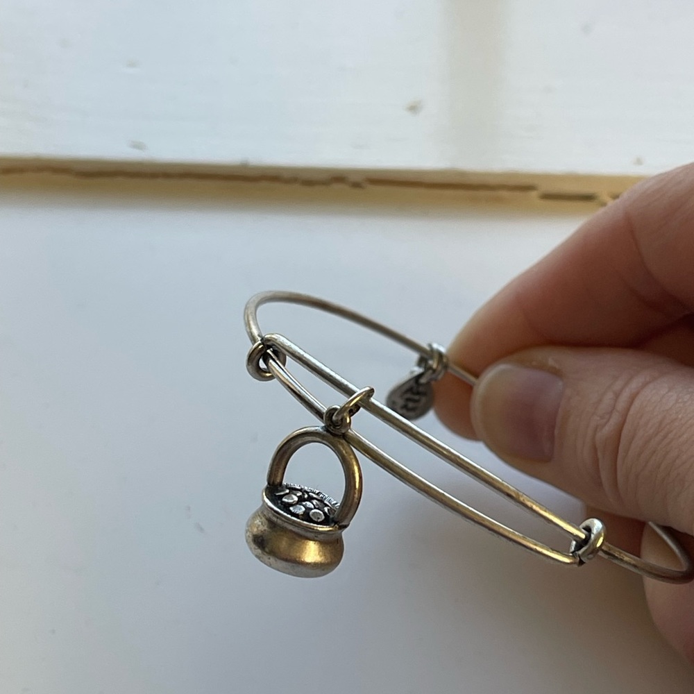 Alex & Ani pot of gold bracelet